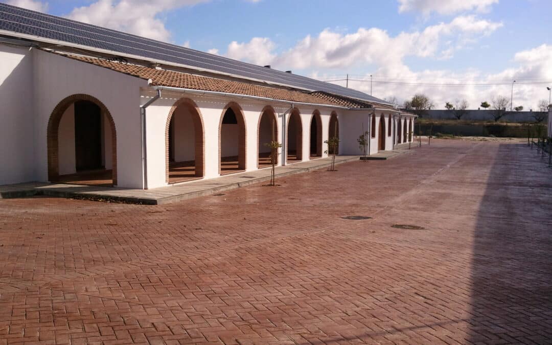 Modernización y ampliación bodega del Laboratorio Agroalimentario y Estación Enológica de Montilla